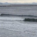 青春の来仙